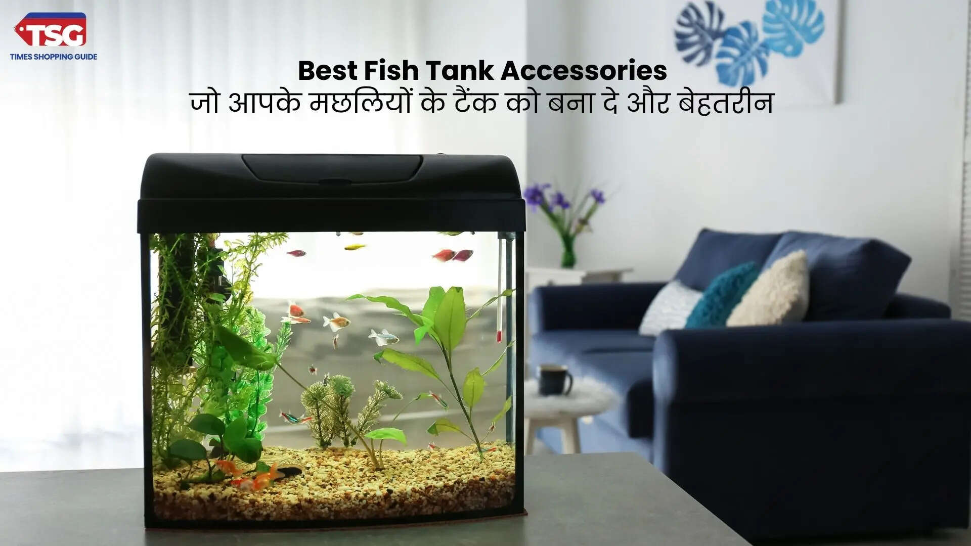 Best Fish Tank Accessories जो आपके मछलियों के टैंक को बना दे और बेहतरीन