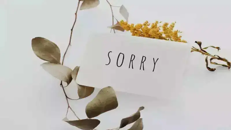 10 Worst ways to apologize