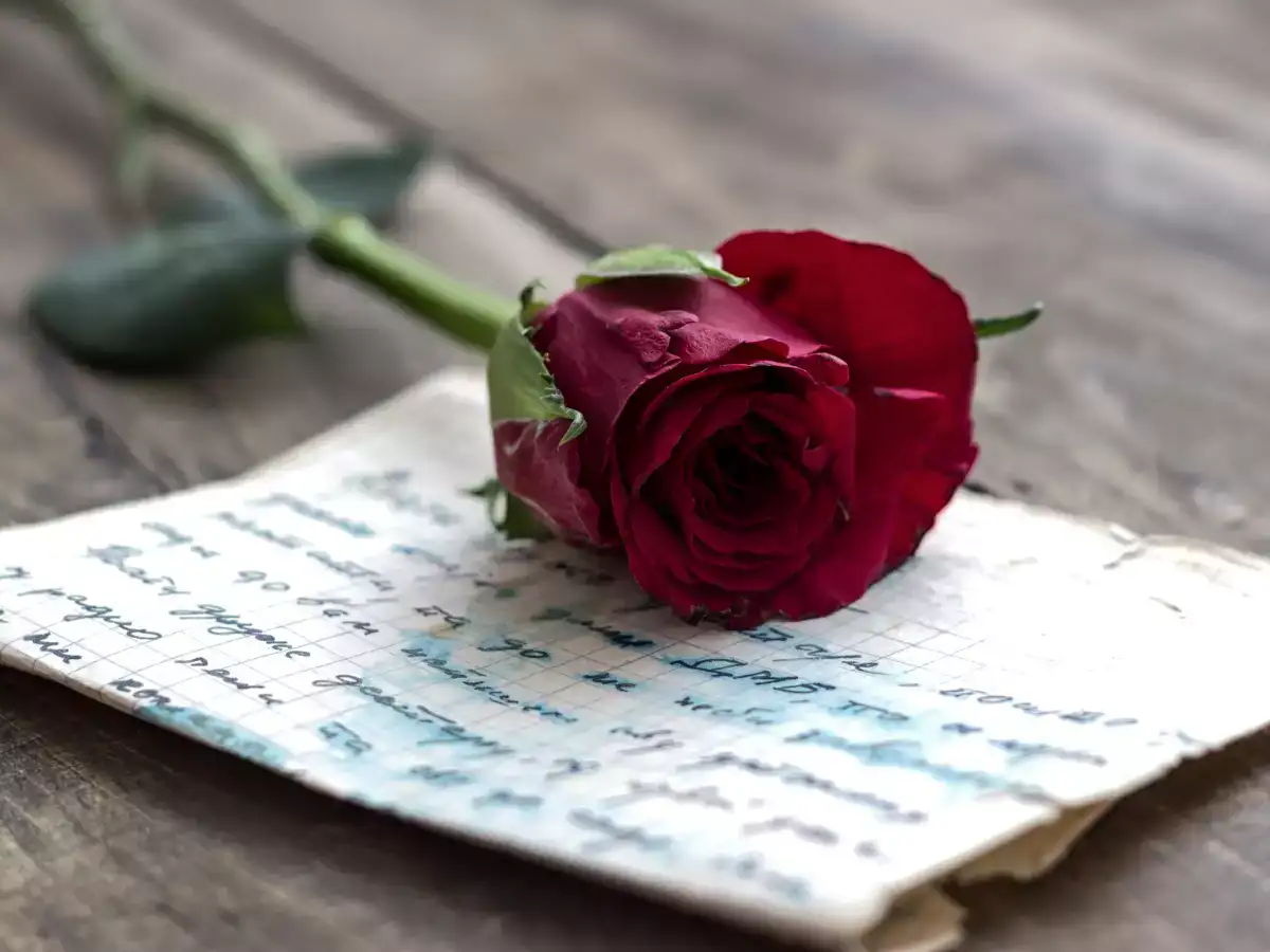 A love letter with a rose on top