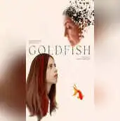 goldfish [photoutils.com].