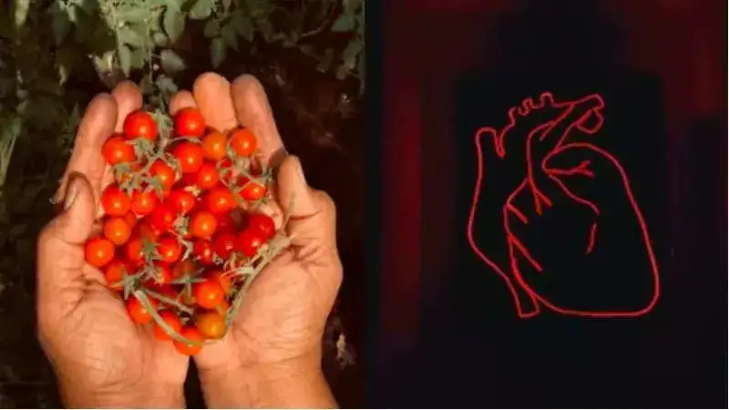 5 Reasons why adding cherry tomatoes to your diet can be beneficial for heart health