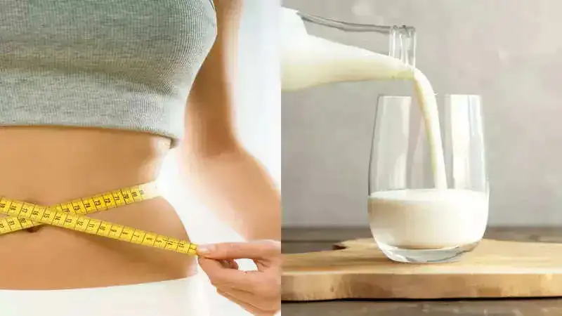 Choosing your milk: Whole milk versus skimmed milk