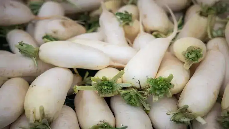 Here are 7 advantages of radish you didn’t know!