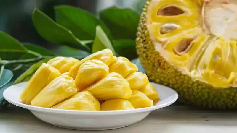 Love jackfruits? Here are its 10 health benefits