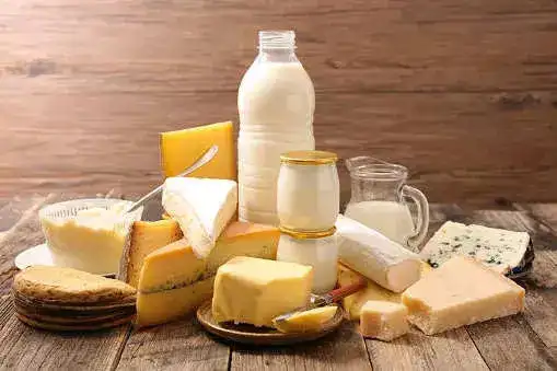 dairy products