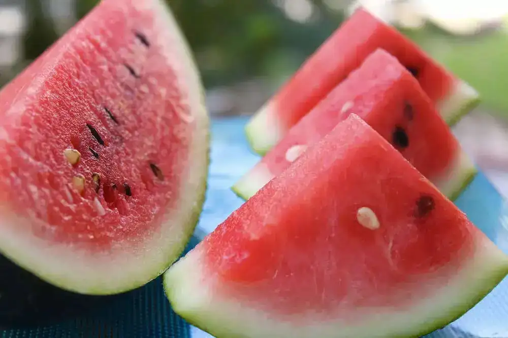 watermelon