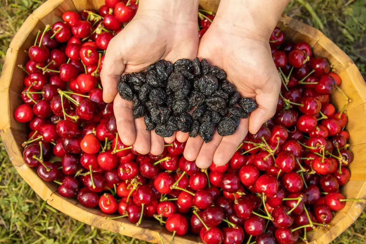 Dried Cherries.