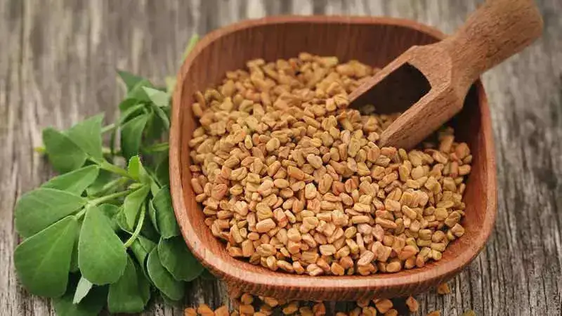 Fenugreek (Methi)