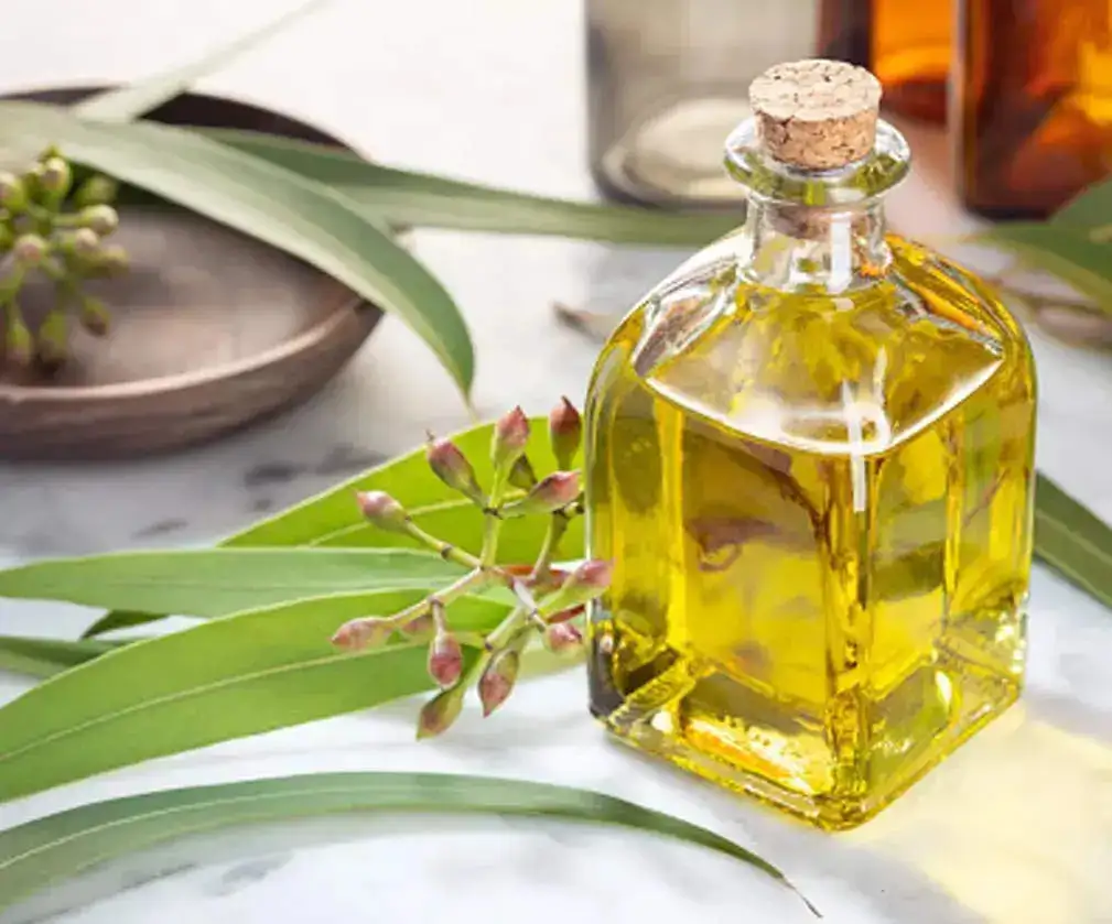 eucalyptus oil