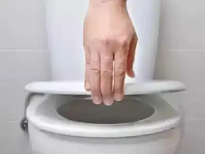 toilet seat