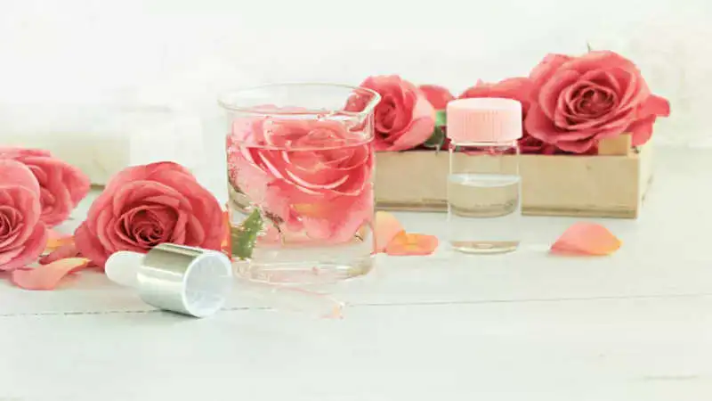 Benefits of rose water