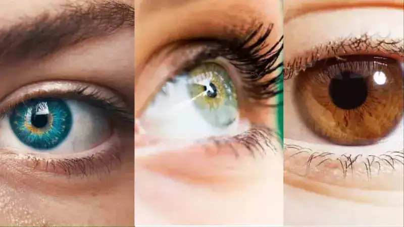 The link between eye color and your overall health