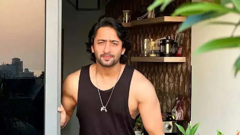 Shaheer Sheikh thanks firefighters for saving his family after building catches fire