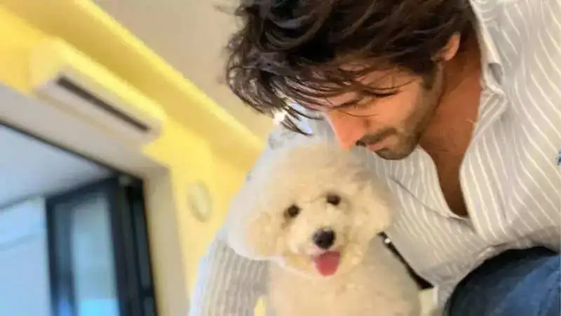 Kartik Aaryan shares cute video of pet dog ‘Katori’ sitting on his car, calls her a ‘spoilt kid’