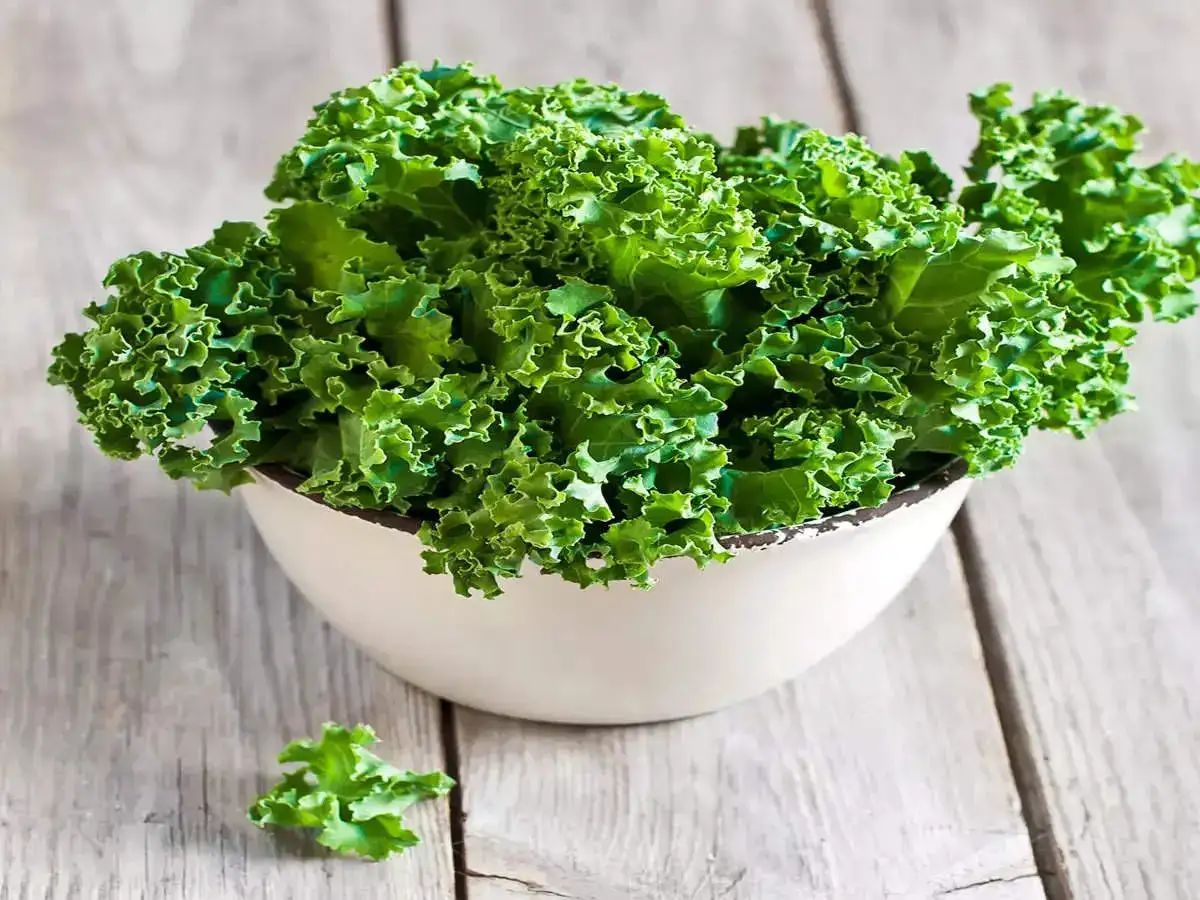 Kale kept in a white ceramic bowl