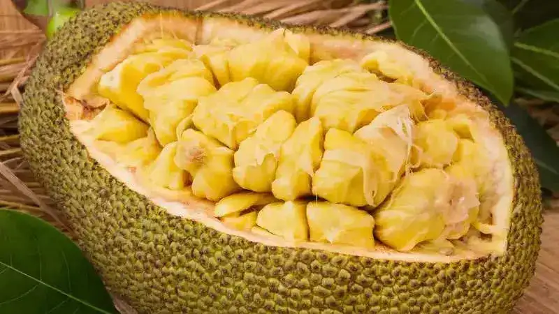 Jackfruit