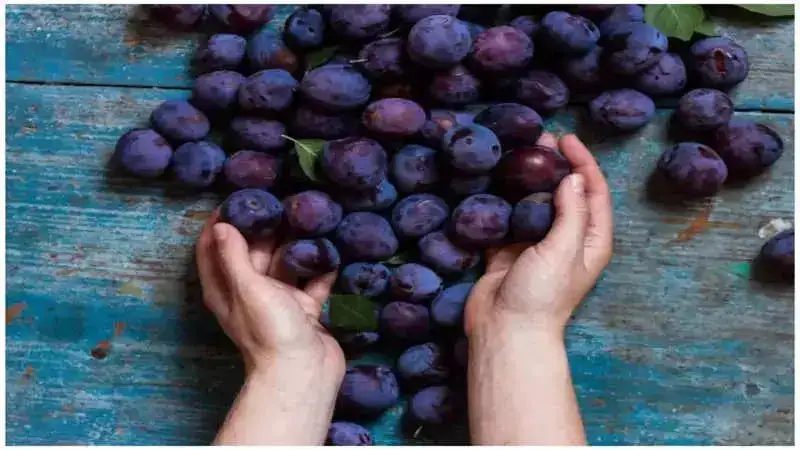 5 Health benefits of consuming plums this season