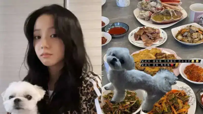 BLACKPINK’s Jisoo’s pet dog Dalgom turns 9. Check out how she celebrated his birthday