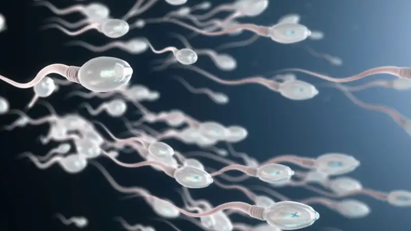 Looking for at home sperm tests? Here is all you need to know