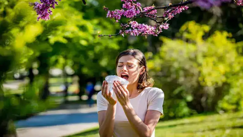 Are you allergic to dust? Here is how you can get rid of it