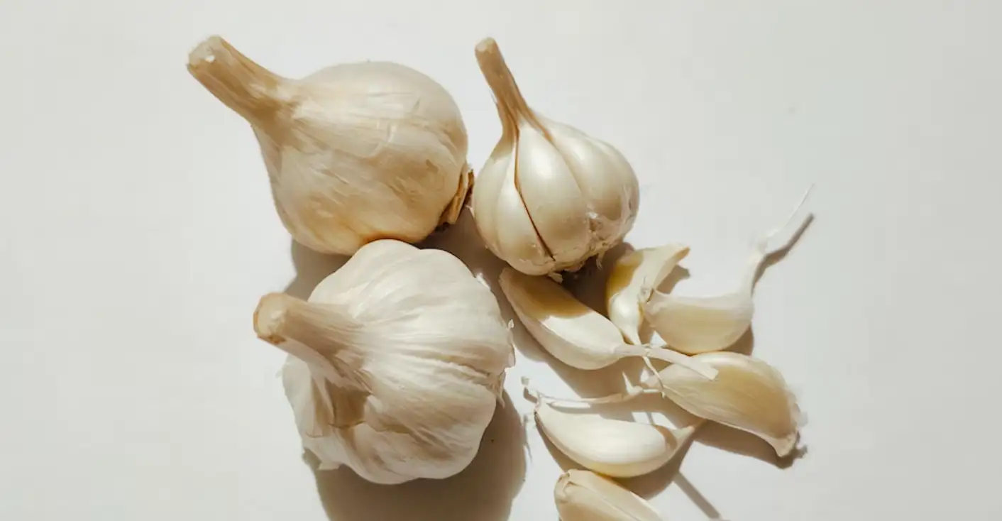 Garlic