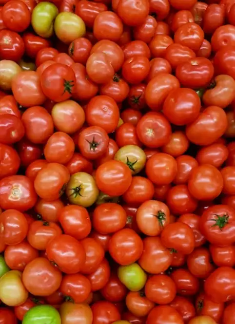 Tomatoes