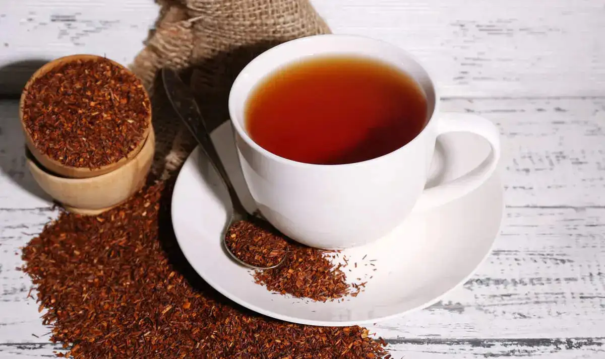 Rooibos Tea.