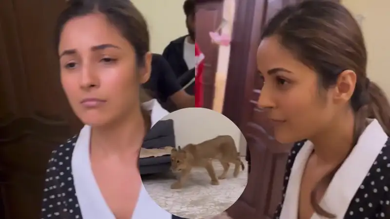 Shehnaaz Gill meets lion cub in Dubai, her expressions will tickle your funny bone. Watch