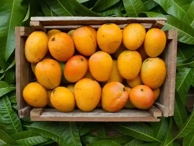 mango.