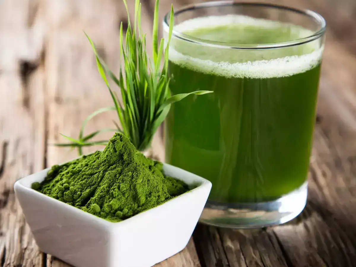 Wheatgrass powder and wheatgrass juice