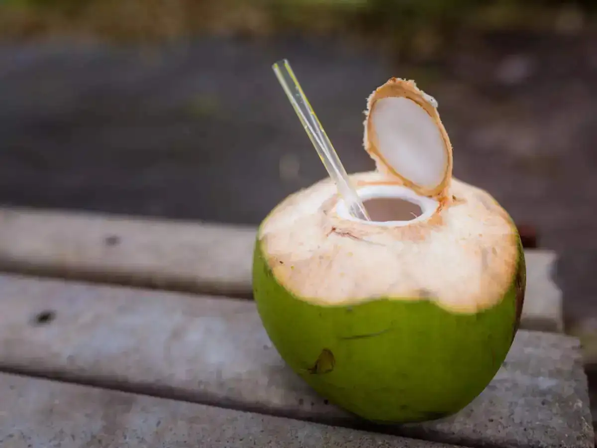 coconut water