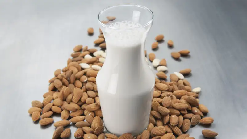 5 Best plant-based milks and their uses