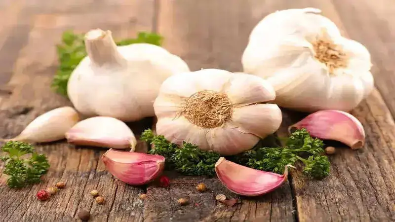 6 Health Benefits of eating garlic clove every morning, and its potential side effects