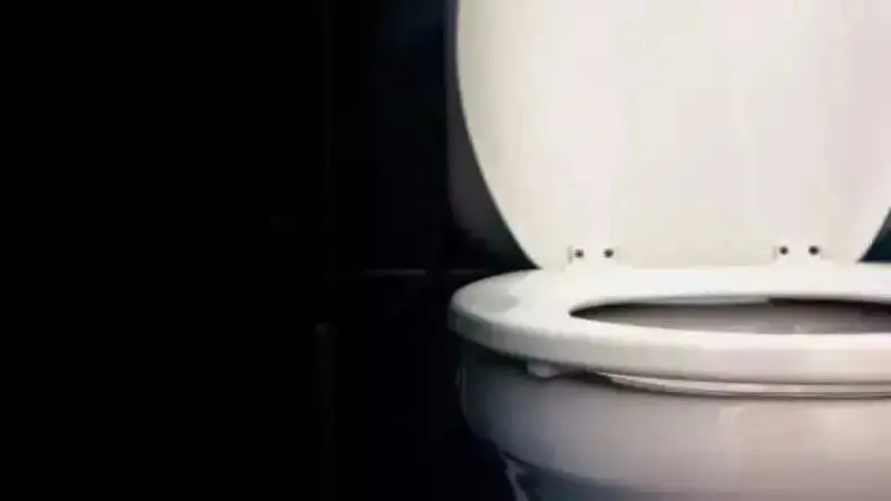 World Toilet Day: Weird toilet habits that you need to stop right away