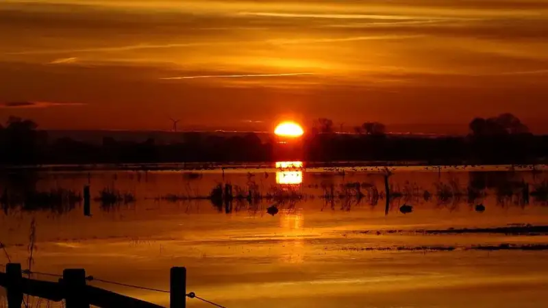 The power of offering water to the sun: Boosting health, happiness, and connection