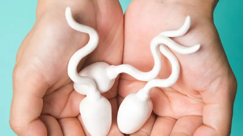 5 Tips to maintain sperm health