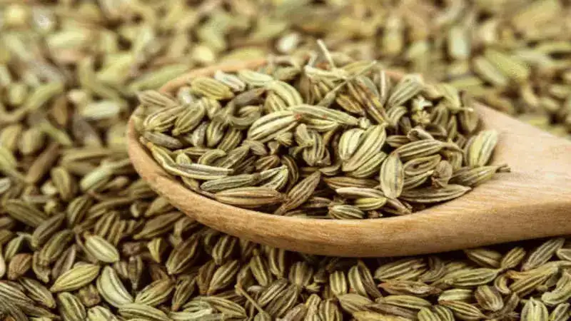 Here are 5 ways to add fennel seeds to your summer diet