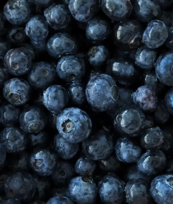 Blueberries