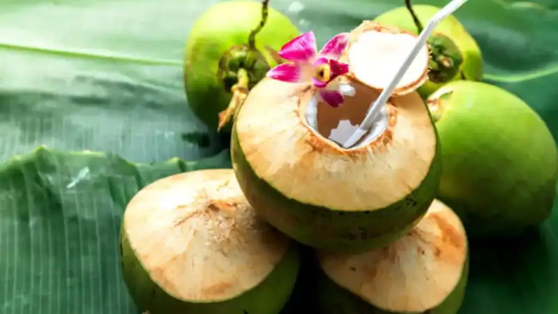 5 health benefits of eating coconut malai during summer