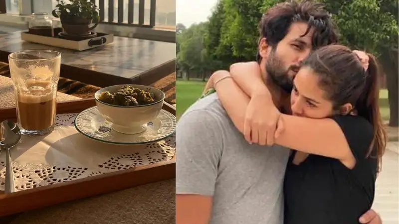 Shahid Kapoor's new Mumbai home has an amazing sunset view, Mira Rajput shares proof