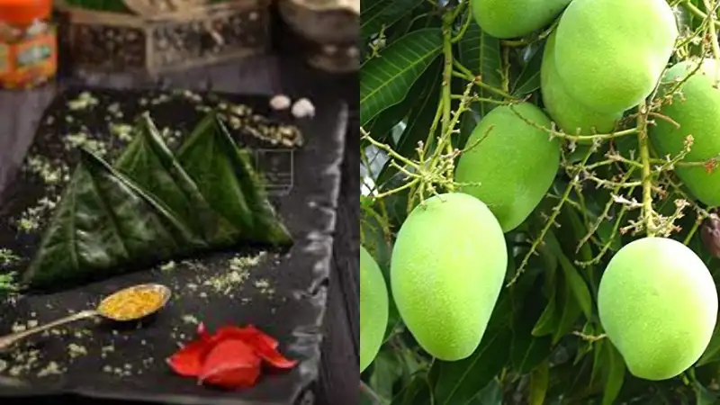 Famous 'Banarasi paan' and 'Langda mango' from Varanasi make it to GI club