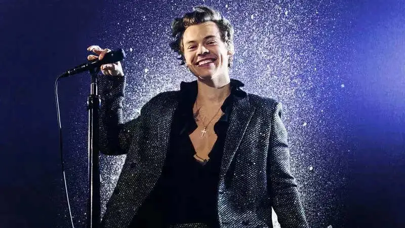 Harry Styles struck by unknown object during Vienna concert