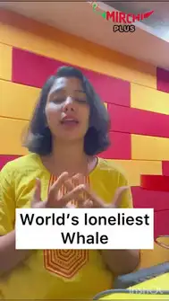 World's Lonliest Whale  | Life Style | RJ Shilpa