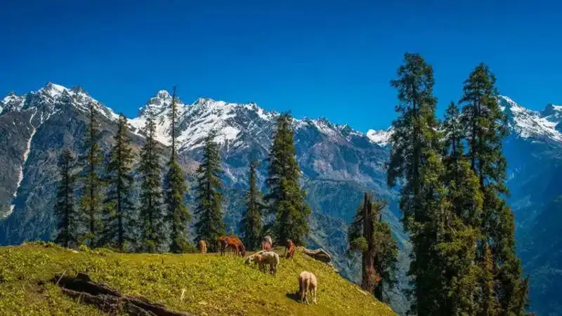 Top 6 places to visit in India in June 2023