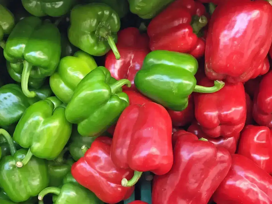 Green and red bell peppers