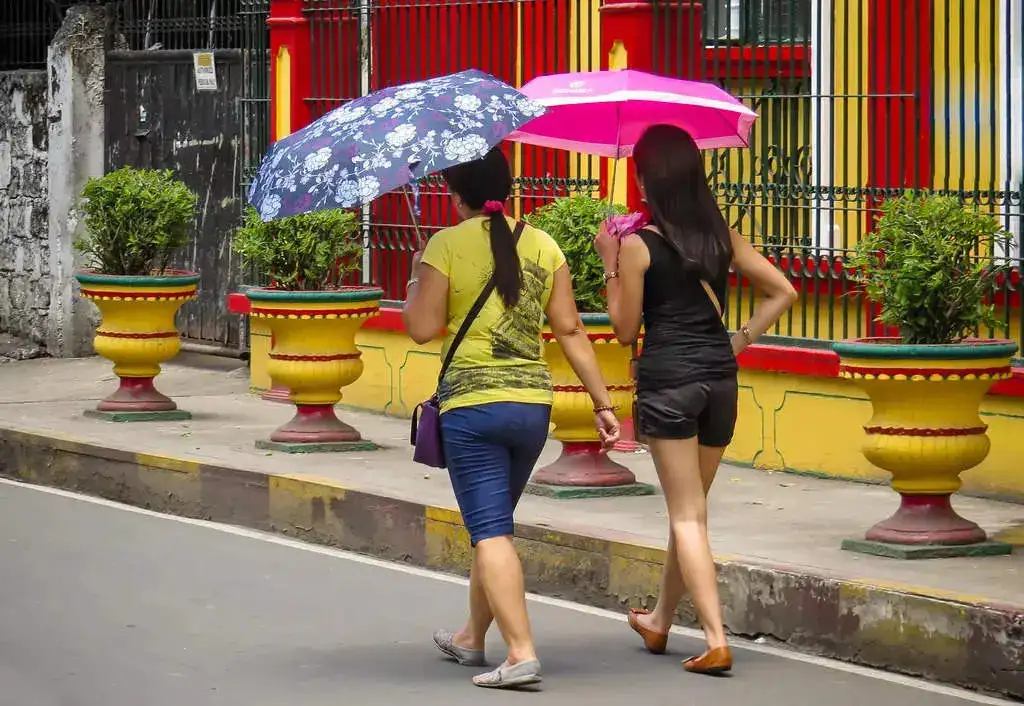 Umbrella