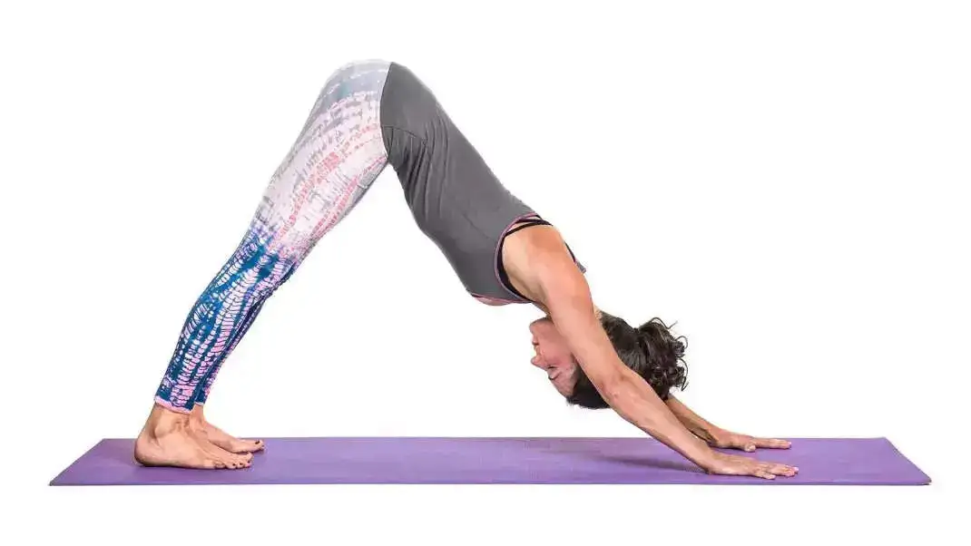 Downward Dog (Adho Mukha Svanasana)