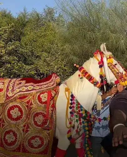 Sidharth Malhotra and Kiara Advani (Suryagarh)