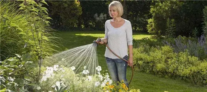 Watering Your Garden.