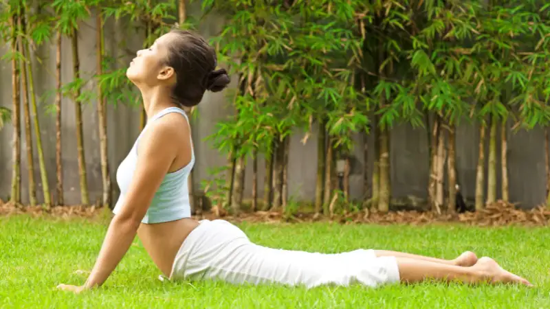 Cobra pose or Bhujangasana